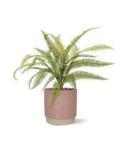 Boston Fern artificial plant 45cm