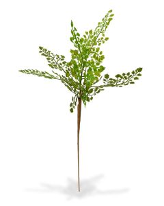 Artificial Adiantum branch PL 50 cm