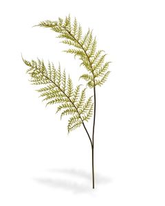 Artificial Fern Branch x2 80 cm