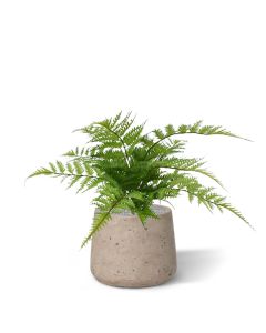 Artificial Pteris Fern 30 cm (bush)