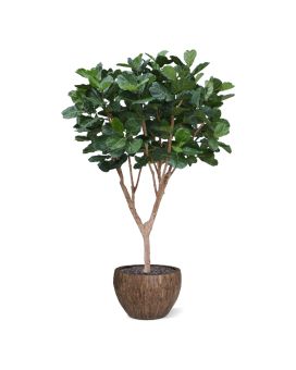 Artificial Ficus Lyrata XL Tree Deluxe 300cm