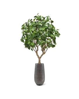 Ficus Umbellata Artificial tree 250cm
