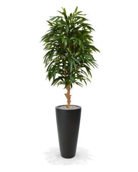 Artificial Longifolia Royal Deluxe 165 cm