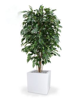Fireretardant Artificial Ficus Exotica Deluxe 150 cm green FR