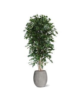 Artificial Ficus Exotica Deluxe tree 210 cm green