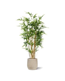 Artificial Bamboo variegated 170 cm