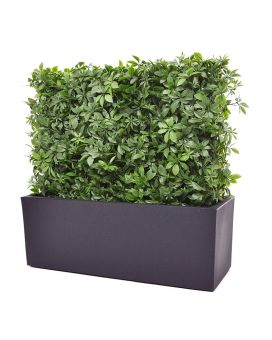Artificial Schefflera hedge 80x25x56 cm anti-UV