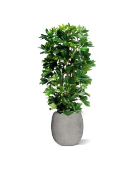 Artificial Schefflera column plant 120cm