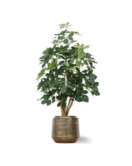 Artificial  Schefflera Exotica plant 120 cm