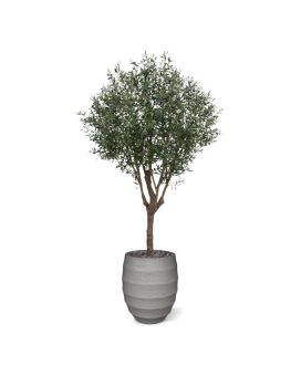 Olive Artificial Tree XL 250cm Deluxe