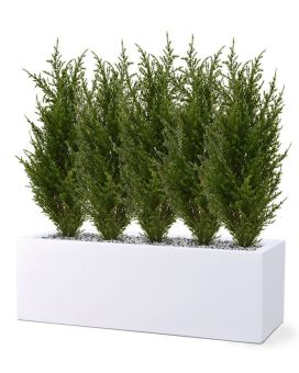 Artificial Cypress potted plant 50 cm