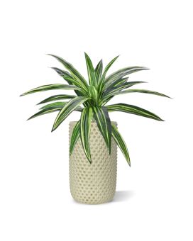 Artificial Draceana Massangeana plant 40 cm green