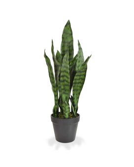 Artificial Sanseveria  vert N 50 cm in pot