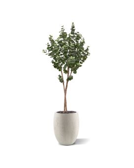 Eucalyptus Artificial tree on trunk 170cm