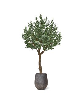 Artificial Eucalyptus Tree XL 300cm