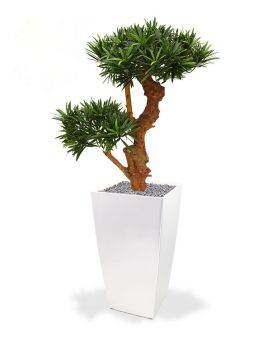 Artificial Podocarpus Bonsai tree 65 cm UV