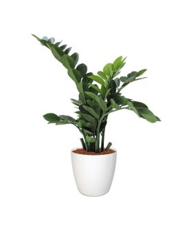 Artificial Zamioculcas 65 cm