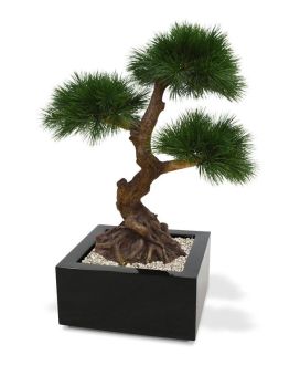 Artificial Pinus Bonsai x3 60 cm