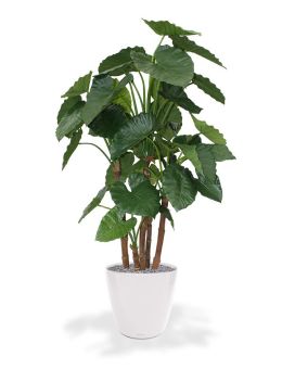Artificial Alocasia Calidora Deluxe 165 cm
