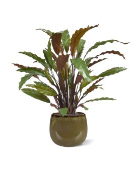 Artificial red Calathea 60 cm in pot