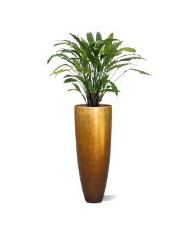 Calathea artificial plant 85 cm green