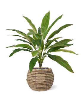 Draceana artificial plantt 40 cm NT (bush)