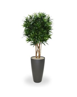 Artificial Draceana Reflexa green 150cm tree