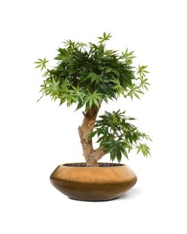 Artificial Acer Bonsai 60 cm green