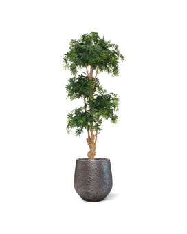 Artificial Acer Bonsai Deluxe 170 cm green