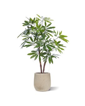 Philodendron Fun Bun Artificial Plant 155cm