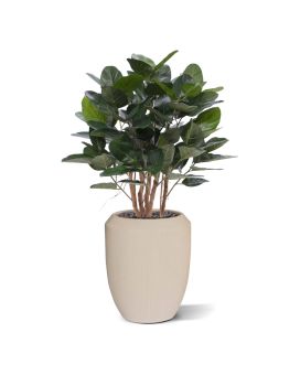 Ficus Audrey Artificial Plant 100cm