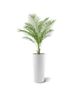 Artificial Areca palm Pl 110cm tree