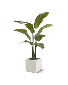 Artificial Traveller Palm promo 120cm