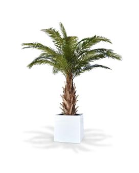 Artificial Phoenix Canary palm XXL 300 cm
