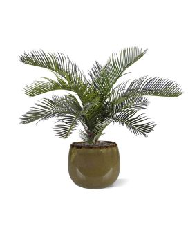 Artificial Artificial Cycas Palm 50 cm (bush)