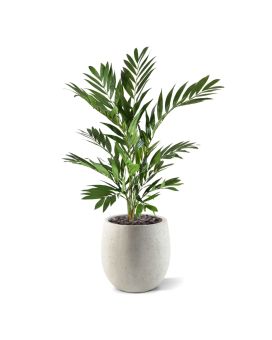 Artificial Parlour Palm Deluxe 90 cm (bush)