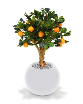 Artificial Orange Bonsai 65 cm