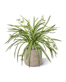 Chlorophytum RT artificial pendant 45cm