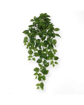 Faux Scindapsus trailing plant 75 cm