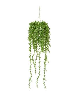 Artificial Senecio trailing plant 60 cm