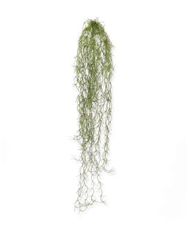 Tillandsia artificial trailing plant 75 cm
