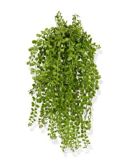 Artificial Dischidia trailingplant 40 cm UV