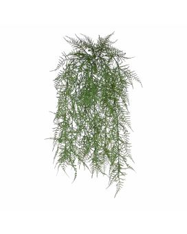 Asparagus Artificial Wall Plant 60cm