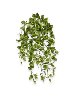 Peperomia Artificial hanging plant variegated 50cm