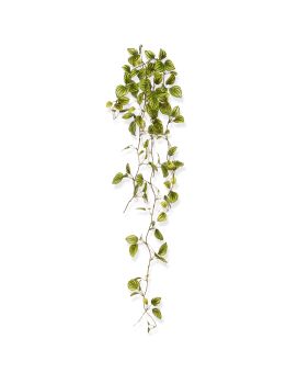 Peperomia Artificial Hanging Branch Variegated 80cm