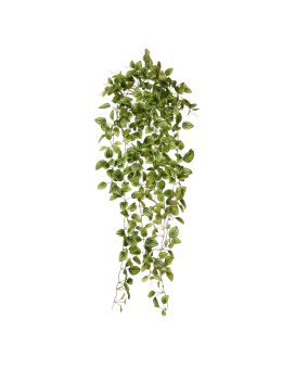 Peperomia Artificial hanging plant variegated 90cm