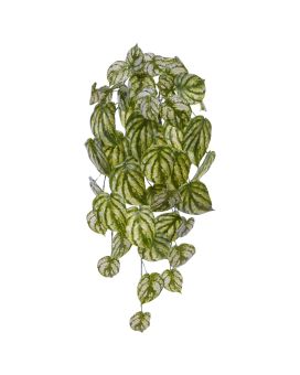 Peperomia Gold Dust artificial pendant 65cm