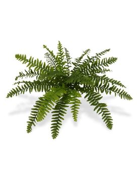 Artificial Boston Fern Deluxe 50 cm (bush)