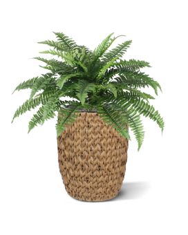 Faux Boston Fern Deluxe 65 cm (bush)