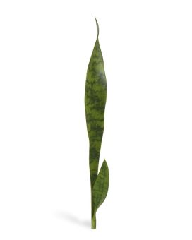 Artificial Sanseveria 60cm green (bush)
